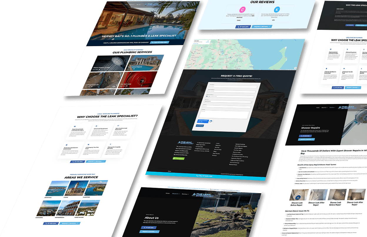 The Leak Specialist execution